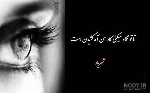 پروفایلی از شعرهای شهریار