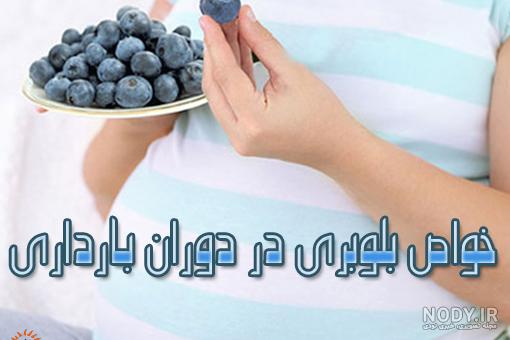 آلبالو در بارداری