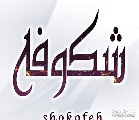 اسم شکوفه به انگلیسی برای پروفایل اسم شکوفه به انگلیسی برای پروفایل