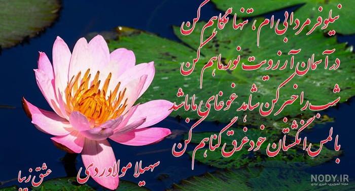 اسم نیلوفر به زبان یونانی اسم نیلوفر به زبان یونانی