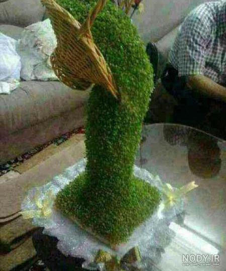 انواع سبزه عید با بذرهای مختلف