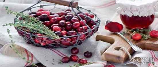 تاثیر زغال اخته بر زیبایی جنین