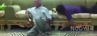 ترقه لاک پشتی دیجی کالا ترقه لاک پشتی دیجی کالا
