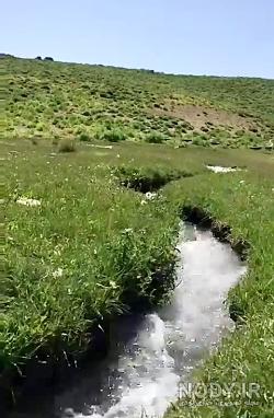 تصاویر زیبا