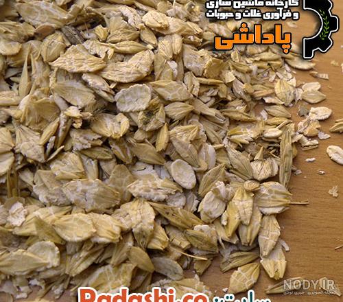 تفاوت گندم و جو برای دام