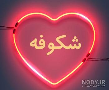 تلفظ شکوفه به انگلیسی تلفظ شکوفه به انگلیسی