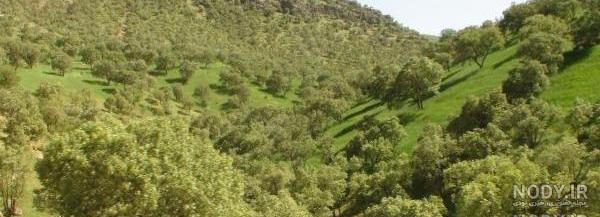 جاهای دیدنی یاسوج