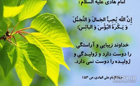 حدیث از امام هادی در مورد دوستی
