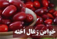 خوردن به در سه ماه اول بارداری