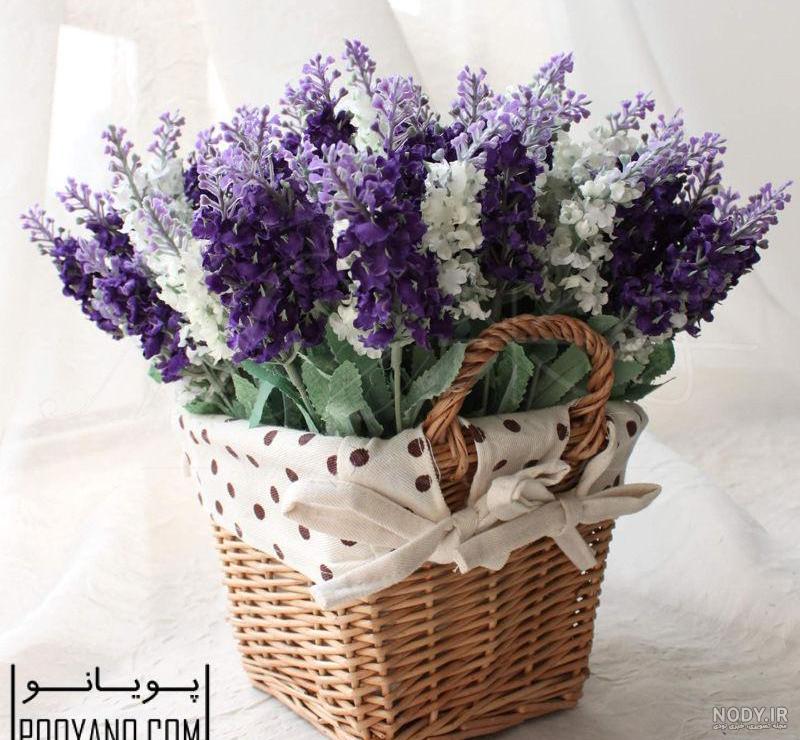 دسته گل اسطوخودوس دسته گل اسطوخودوس