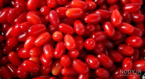 زغال اخته در سه ماه اول بارداری