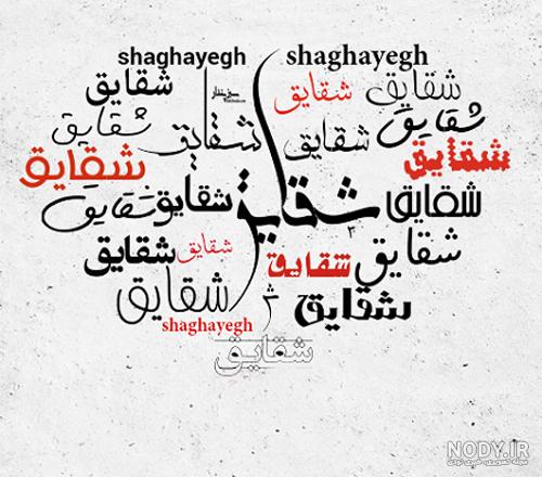 شعر حافظ در مورد شقایق شعر حافظ در مورد شقایق