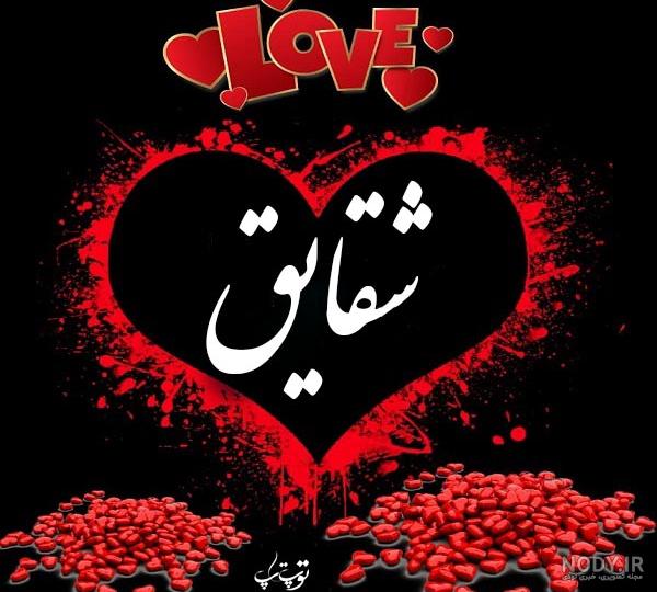 شعر شقایق شاملو شعر شقایق شاملو