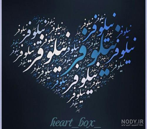 شعر نیلوفر شاملو شعر نیلوفر شاملو