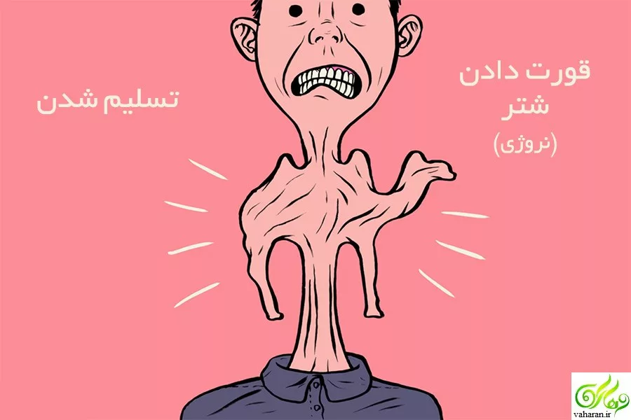 ضرب المثل ایرانی با عکس
