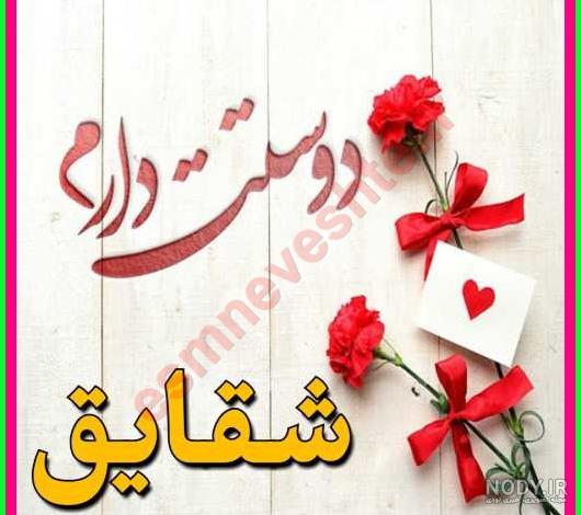 عکس اسم شقایق برای پروفایل عکس اسم شقایق برای پروفایل