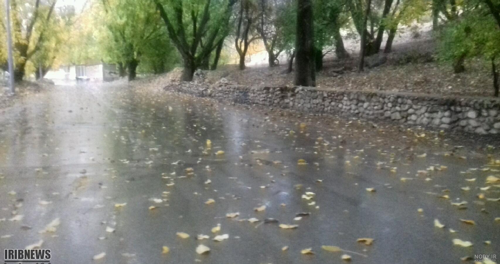 عکس باران بهاری زیبا