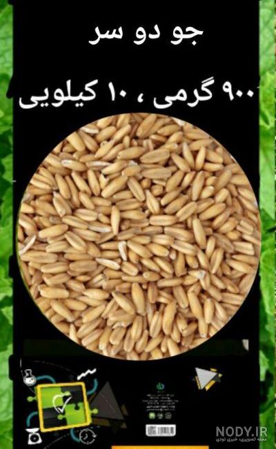 عکس بلغور جو و گندم