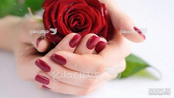 عکس دختر تنها با گل رز