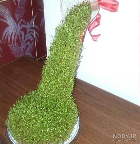 عکس سبزه عید نوروز
