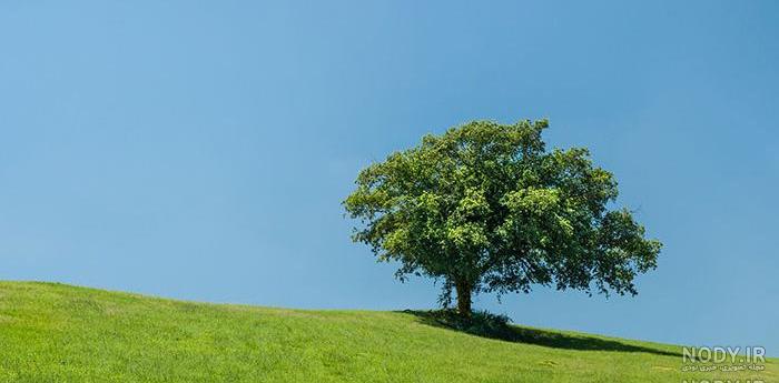 عکس طبیعت واقعی