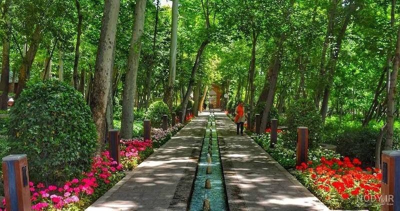 عکس طبیعت واقعی عکس طبیعت واقعی