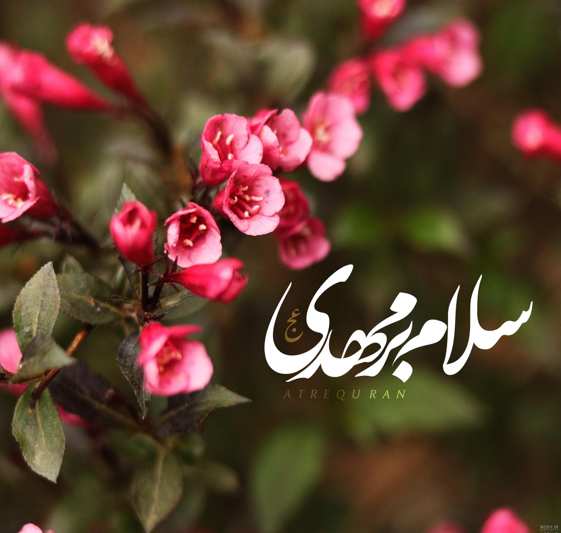 عکس نوشته اسم شکوفه به انگلیسی