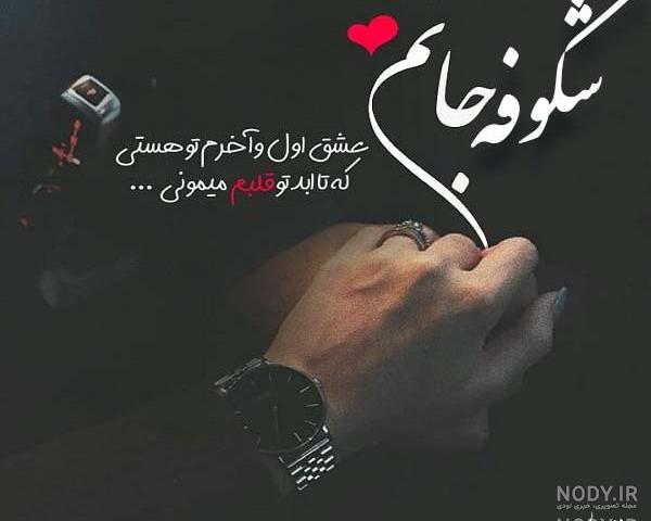 عکس نوشته اسم شکوفه به انگلیسی عکس نوشته اسم شکوفه به انگلیسی