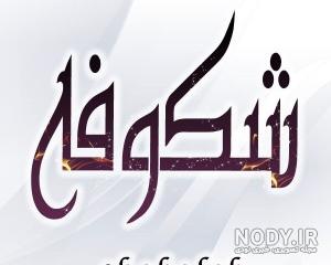 عکس نوشته شکوفه های بهاری عکس نوشته شکوفه های بهاری