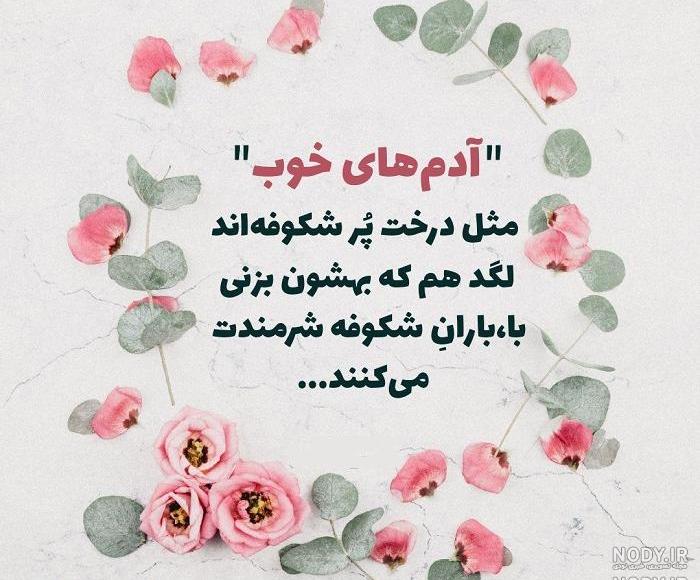 عکس پروفایل شکوفه عکس پروفایل شکوفه