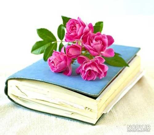 عکس کتاب خواندن کارتونی عکس کتاب خواندن کارتونی