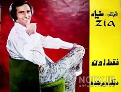 فرزندان ضیا آتابای فرزندان ضیا آتابای