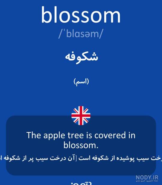 فونت اسم شکوفه به انگلیسی