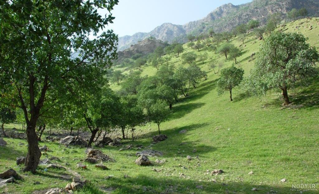 فیلم آتشگاه لردگان