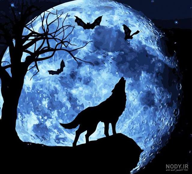 فیلم گرگ ها
