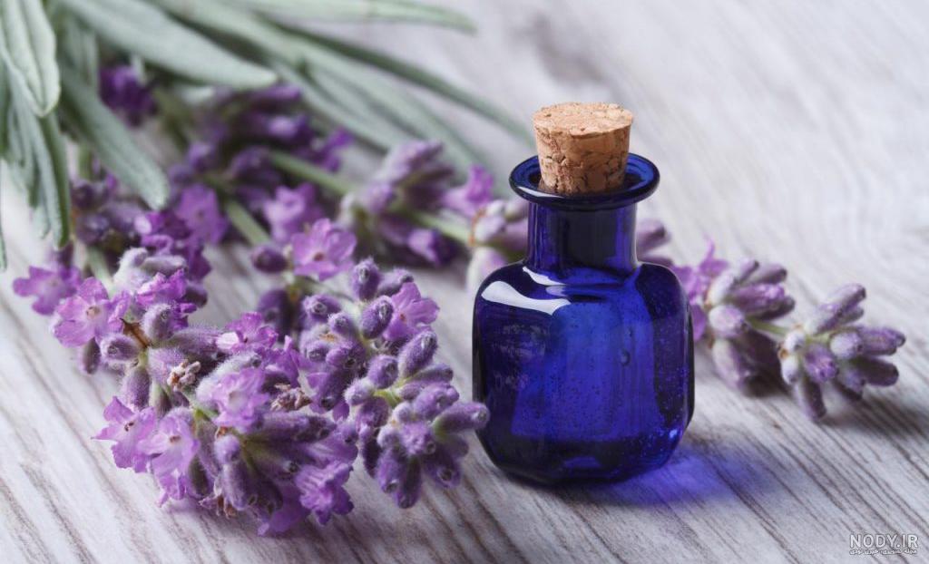 مضرات اسطوخودوس مضرات اسطوخودوس