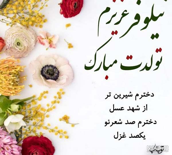معنی اسم نیلوفر با عکس معنی اسم نیلوفر با عکس