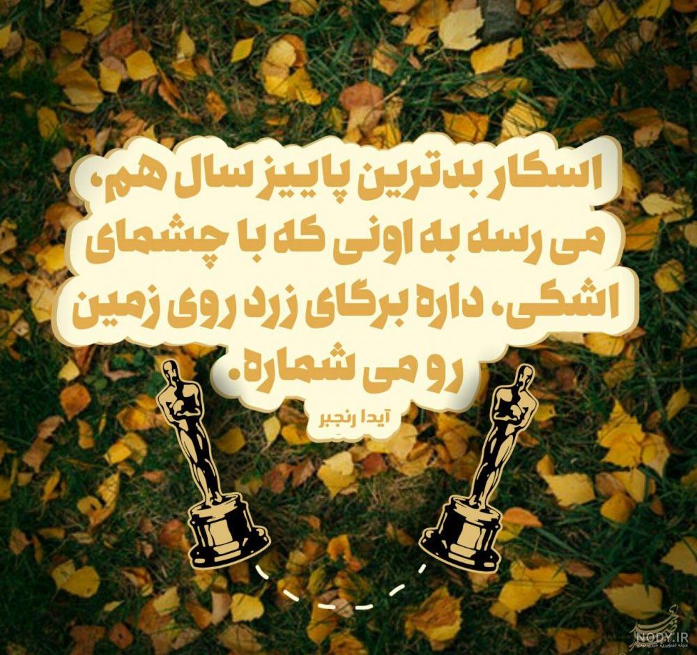 پروفایل امیررضا به انگلیسی