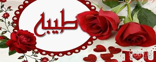 کلیپ تولد طیبه کلیپ تولد طیبه