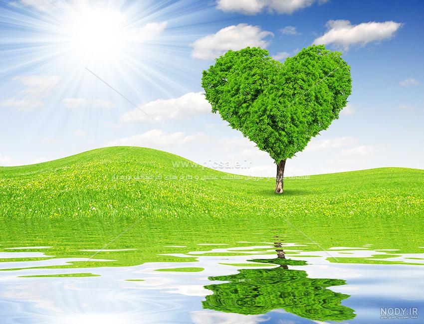 عکس سبزه قلبی