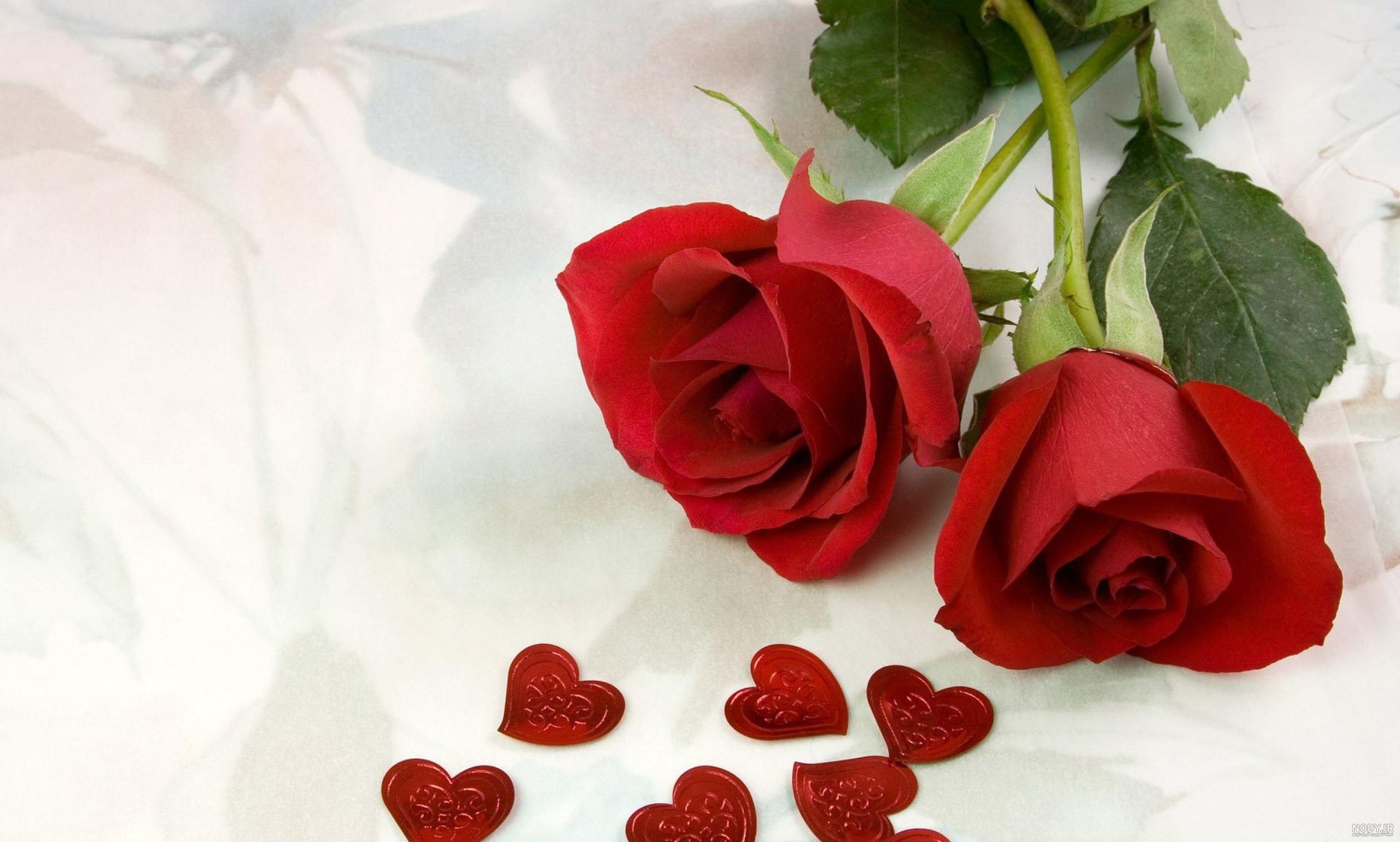 عکس قلب نقاشی عکس قلب نقاشی