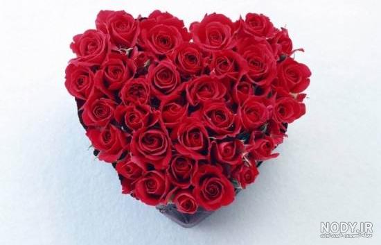 عکس یه قلب خوشگل عکس یه قلب خوشگل