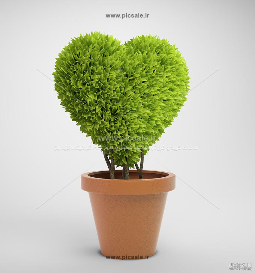 معنی قلب مشکی