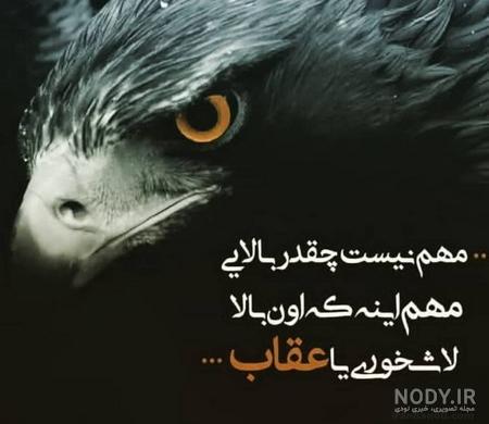  عکس عقاب طلایی برای پروفایل