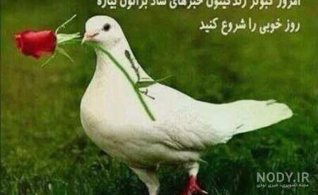 استوری صبح بخیر خنده دار