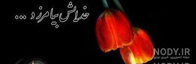 استیکر خدا اموات شمارو هم بیامرزه
