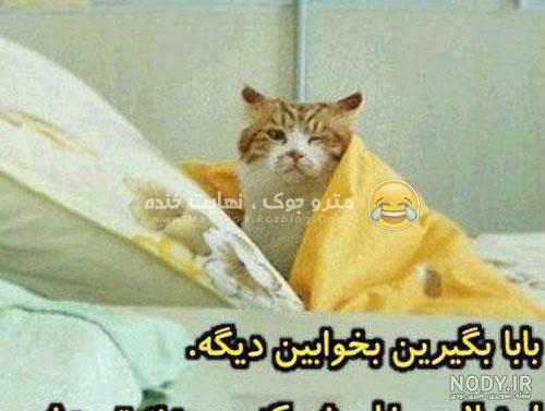 استیکر صبح بخیر ایام هفته