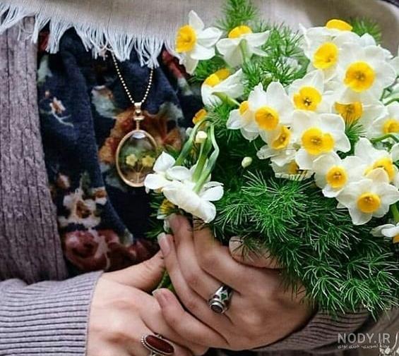 تصاویر گل نرگس امام زمان تصاویر گل نرگس امام زمان