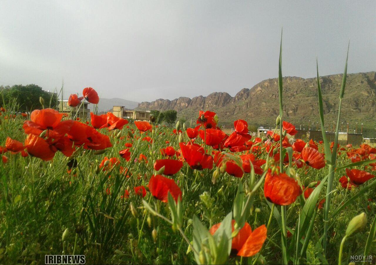 جاهای دیدنی ازنا جاهای دیدنی ازنا