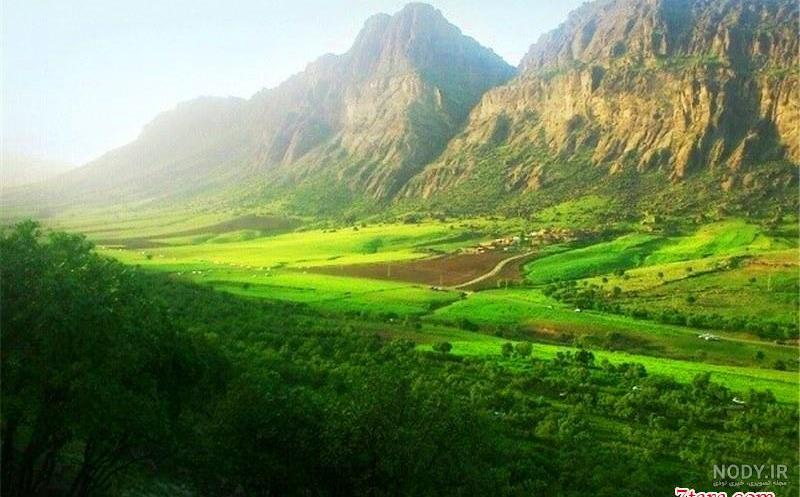 جنگل های بلوط لرستان جنگل های بلوط لرستان